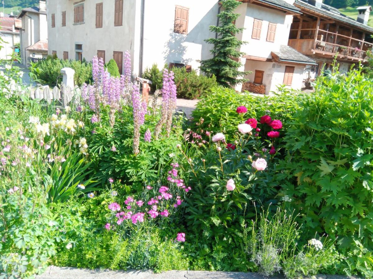 Da Carla Dolomiti Val Di Zoldo Apartment Bagian luar foto